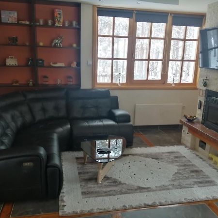 Vila Panic زلاتيبور المظهر الخارجي الصورة