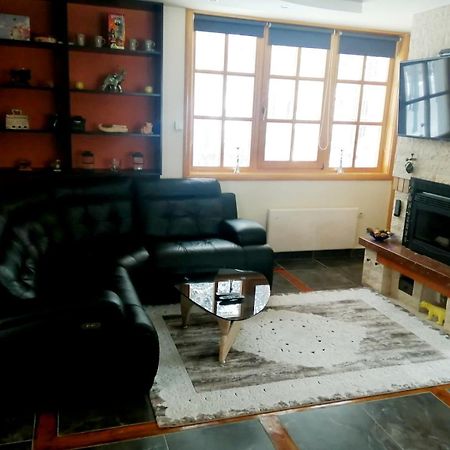 Vila Panic زلاتيبور المظهر الخارجي الصورة